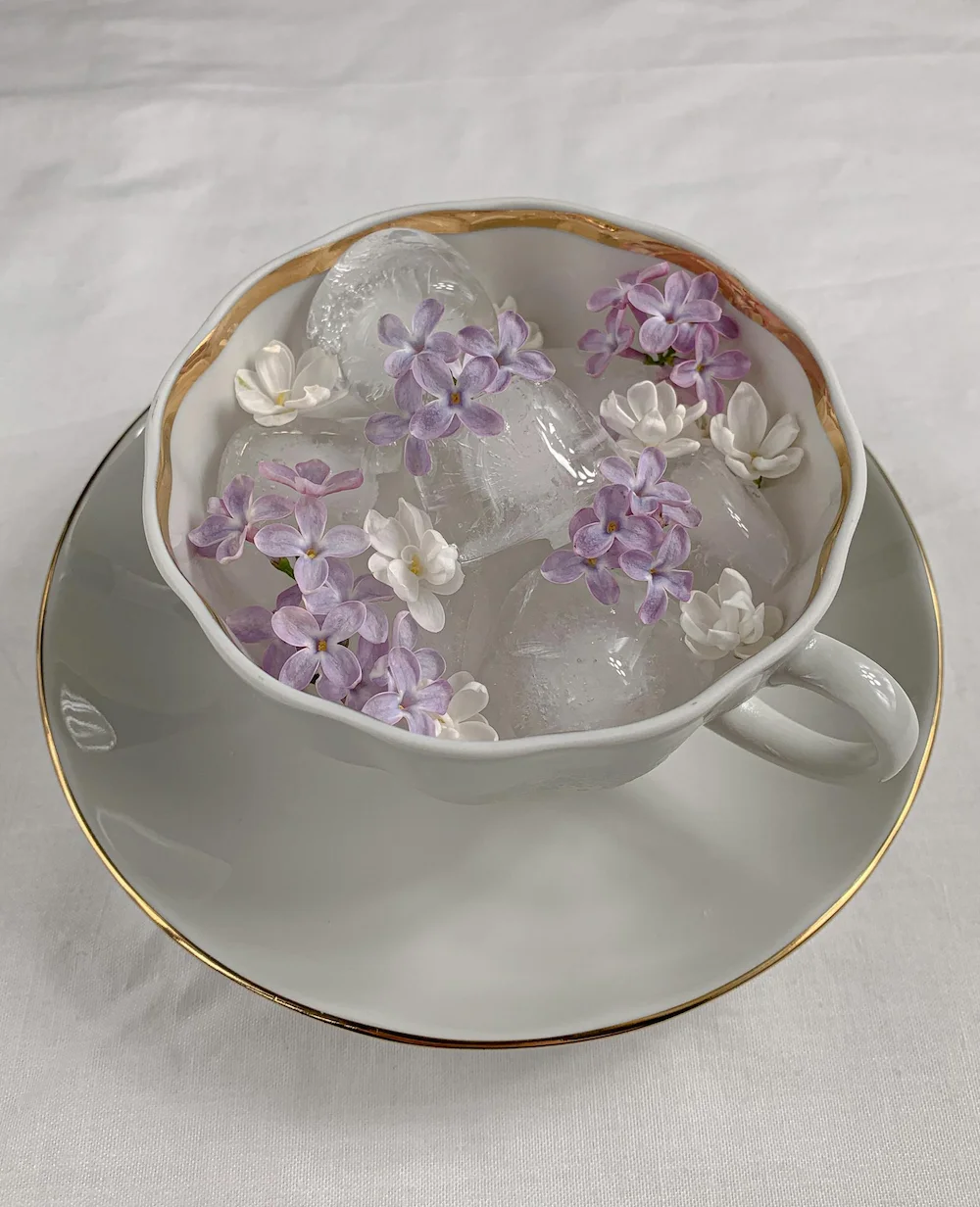 Une élégante tasse à thé en porcelaine blanche avec un liseré doré, remplie de glaçons et de petites fleurs de lilas et de jasmin, pour un thé glacé floral rafraîchissant ou une boisson d'été.