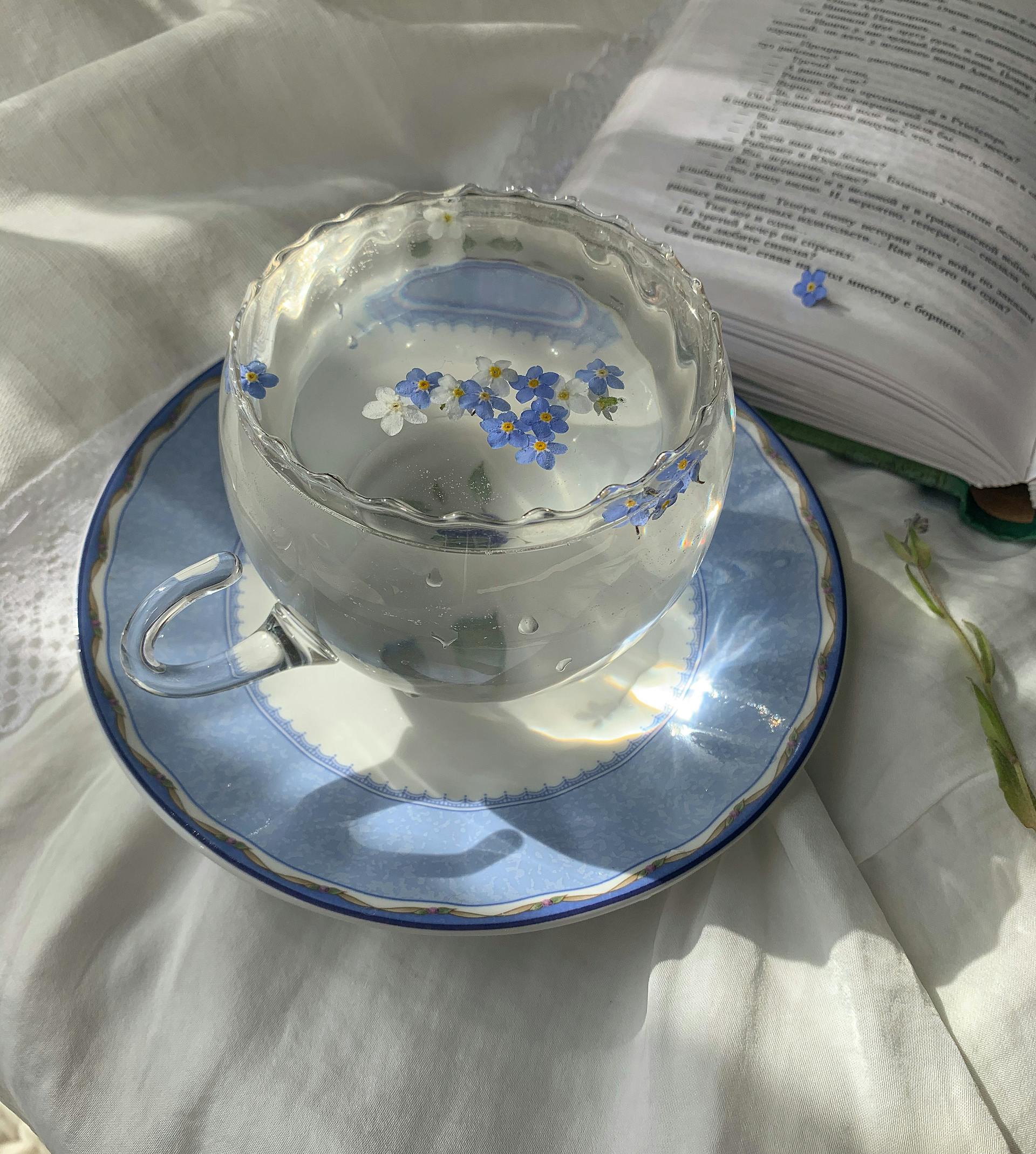 Thé blanc chinois infusé dans une tasse élégante, avec petites fleurs bleues, créant un moment de lecture et de détente.