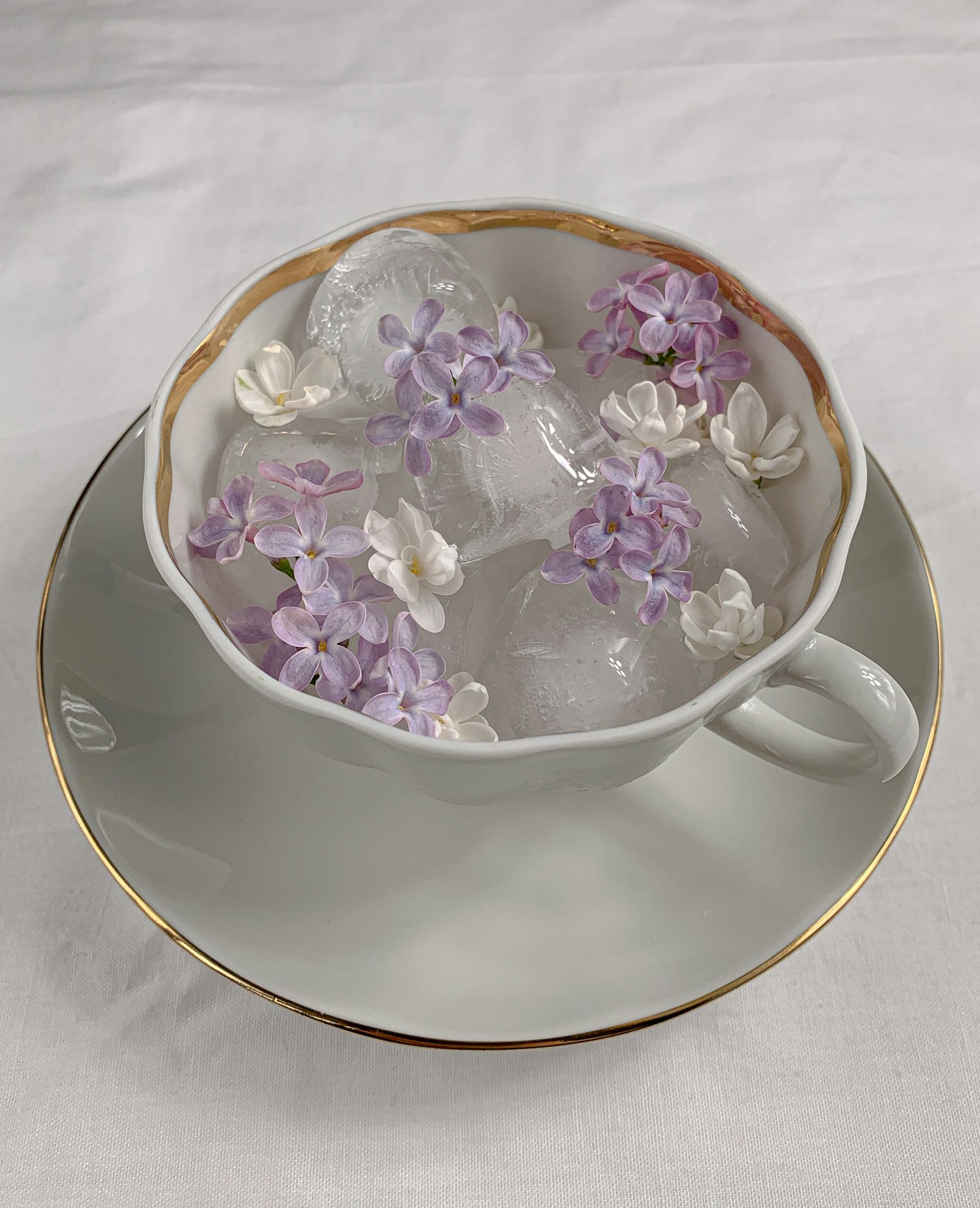 Une élégante tasse à thé en porcelaine blanche avec un liseré doré, remplie de glaçons et de petites fleurs de lilas et de jasmin, pour un thé glacé floral rafraîchissant ou une boisson d'été.