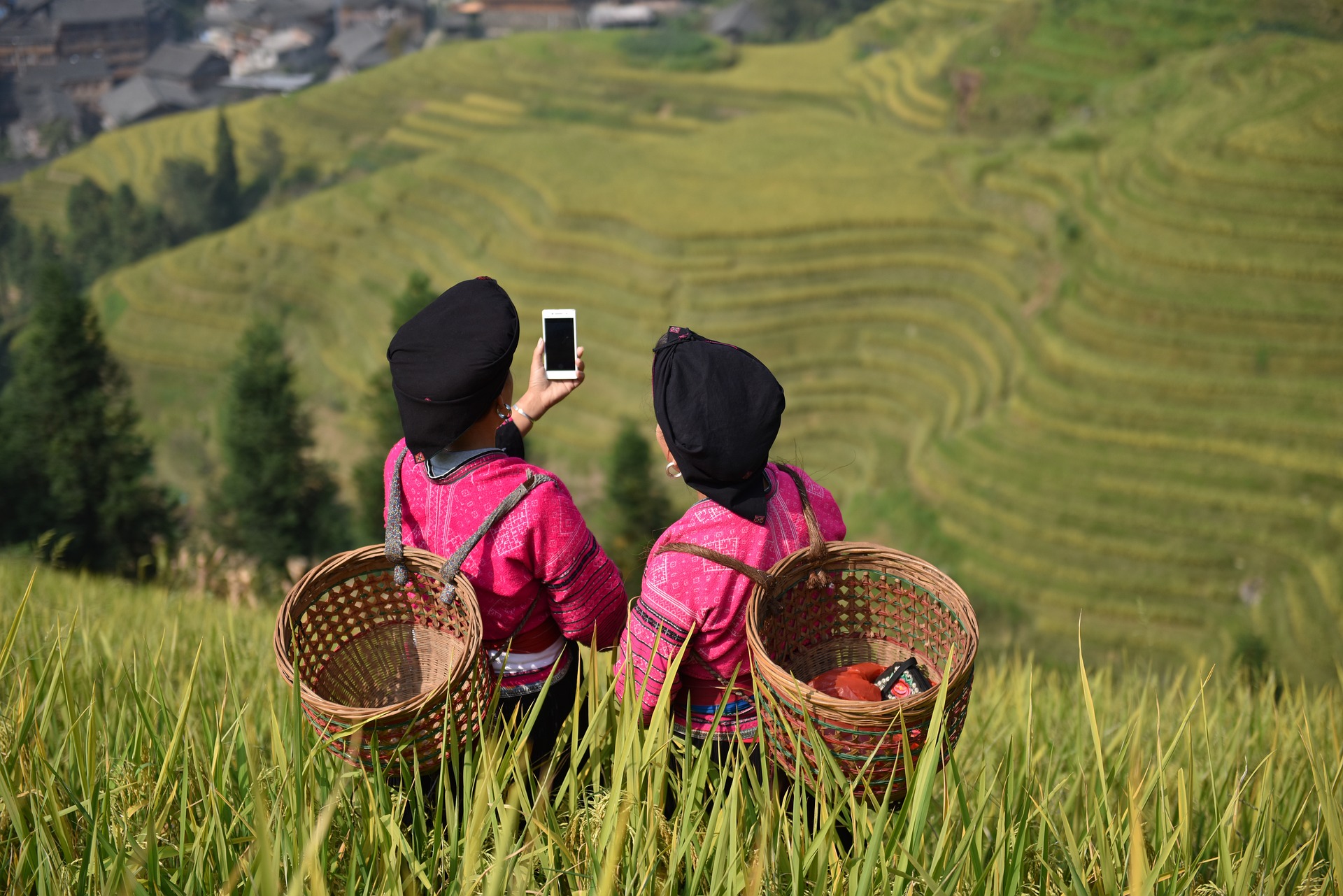 Deux femmes en tenue traditionnelle avec des paniers sur le dos, utilisant un smartphone pour photographier un magnifique champ de thé en terrasses et rester en contact.