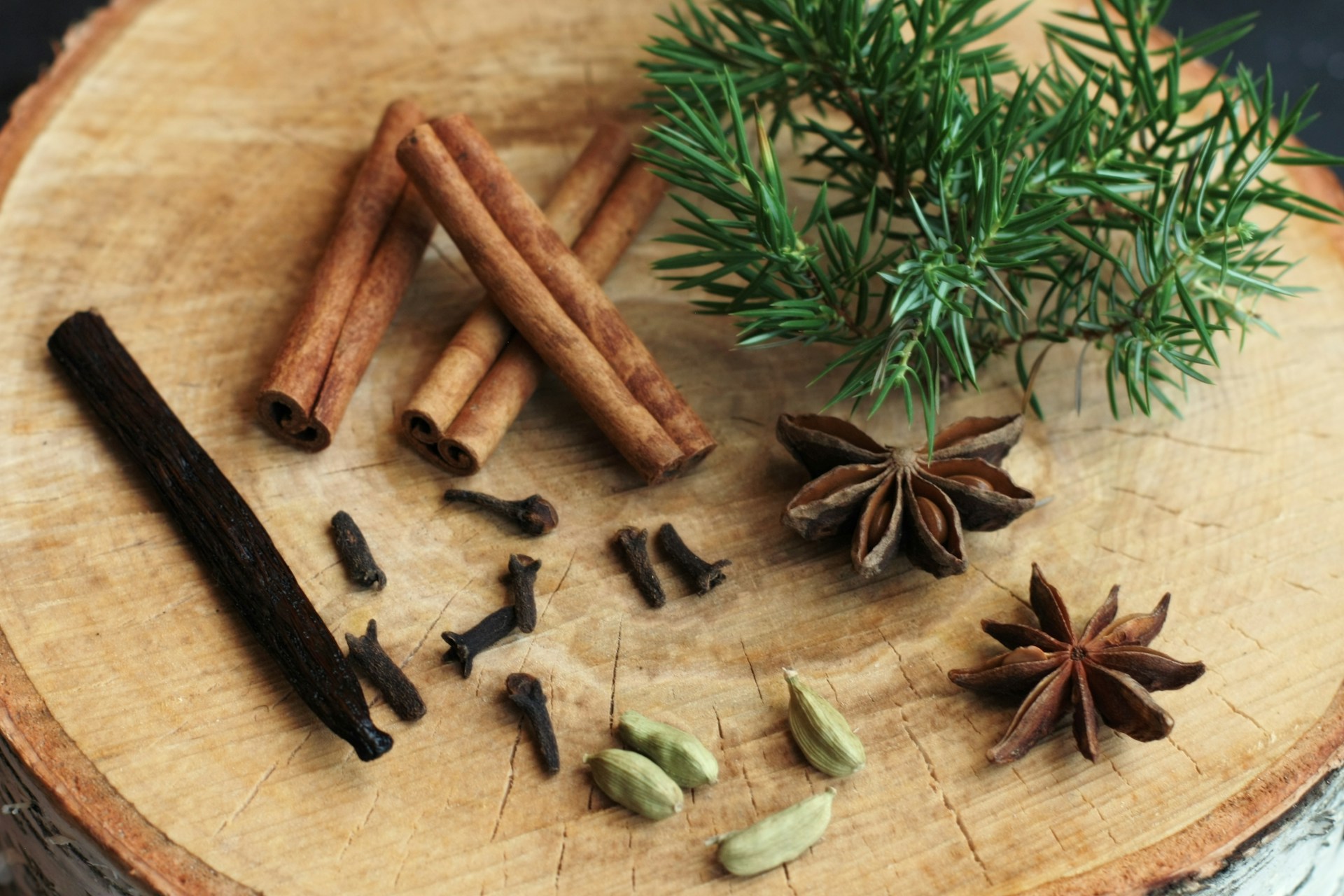 Gros plan des ingrédients clés pour un thé de noel aux épices posés sur une bûche de bois : bâtons de cannelle, gousse de vanille noire, clous de girofle, gousses de cardamome et badiane. Ces éléments composent le cœur de la recette thé de Noël maison.