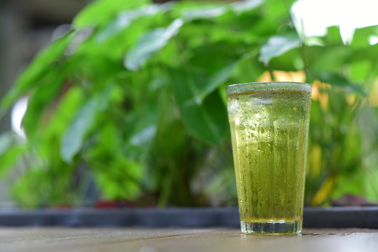 Un verre de thé vert glacé placé au premier plan, avec un fond de végétation verte luxuriante (feuilles floues, lumière naturelle). La boisson, limpide et rafraîchissante, illustre parfaitement l'art d'infuser du thé à froid pour en préserver les arômes délicats. Un bel exemple de Thé infusion à froid ou de thé infusé à froid, idéal pour les moments de détente en pleine nature.