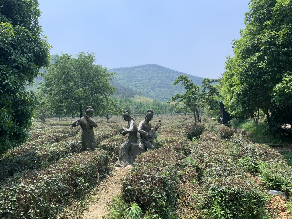 Suzhou hors des sentiers battus : Wangshan, le village caché entre thé et bambous