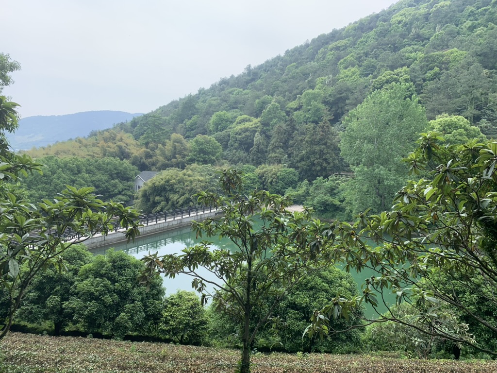 Randonnée à Wangshan, Suzhou hors des sentiers battus avec vue sur ls champs de thé. 