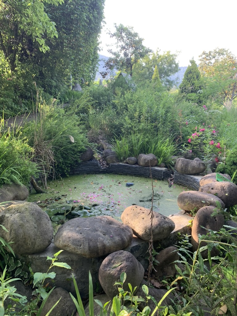 bassin dans le jardin naturel de suzhou hors des chemins battus