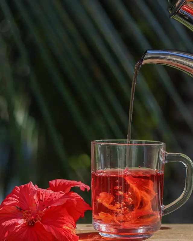 Thé rafraîchissant à l'hibiscus dans une tasse en verre avec des fleurs d'hibiscus à côté. Une théière en verre verse du thé dns la tasse, l'arrière plan est de la verdure. 