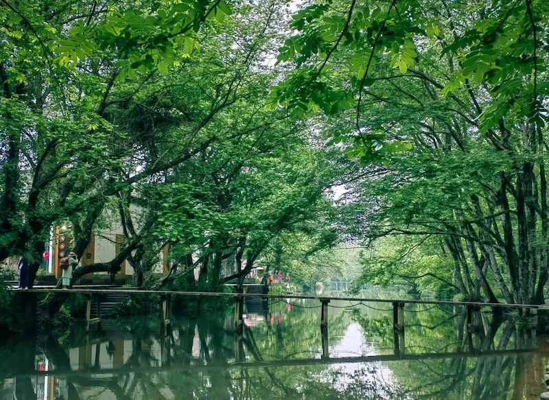 Pont en bois sous les arbres verdoyants du village de Xixinan, étape incontournable lors d'un voyage à Qimen pour visiter Qimen.