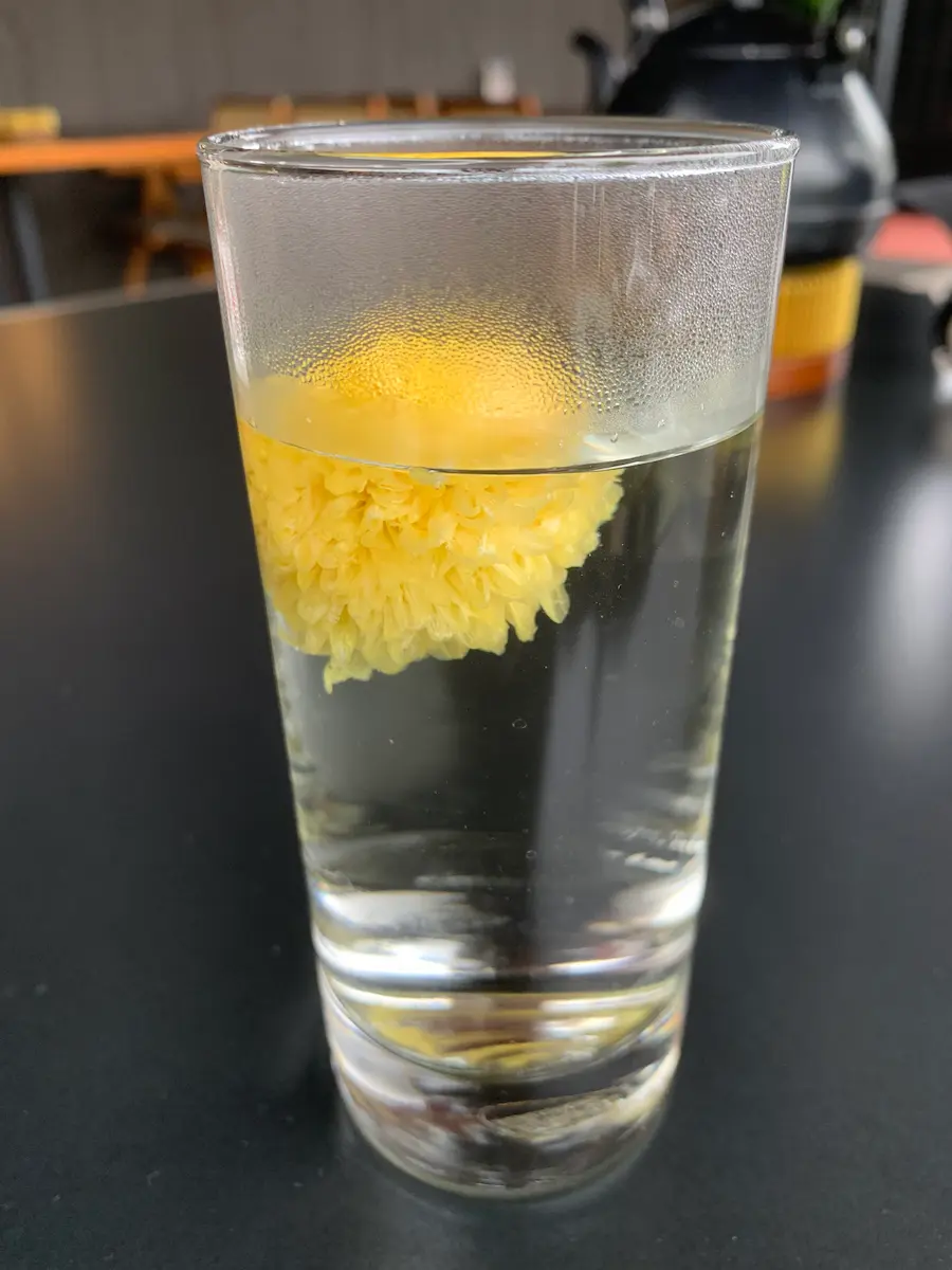 Infusion de fleur de chrysanthème jaune dans un verre d'eau, dégustation idéale lors d'un voyage à Qimen pour accompagner le thé keemun à Huangshan Chine.