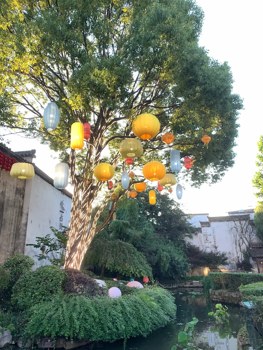 Grand arbre illuminé de lanternes chinoises colorées au bord du canal de Huangshan Chine, ambiance magique lors d'un voyage à Qimen.
